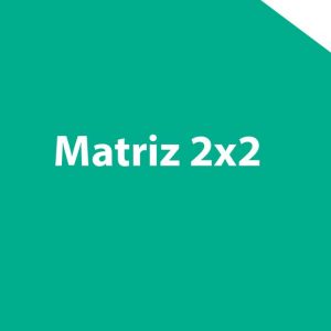 Recurso de matriz 2x2